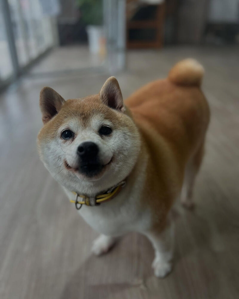 ブログ
