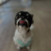 ブログ