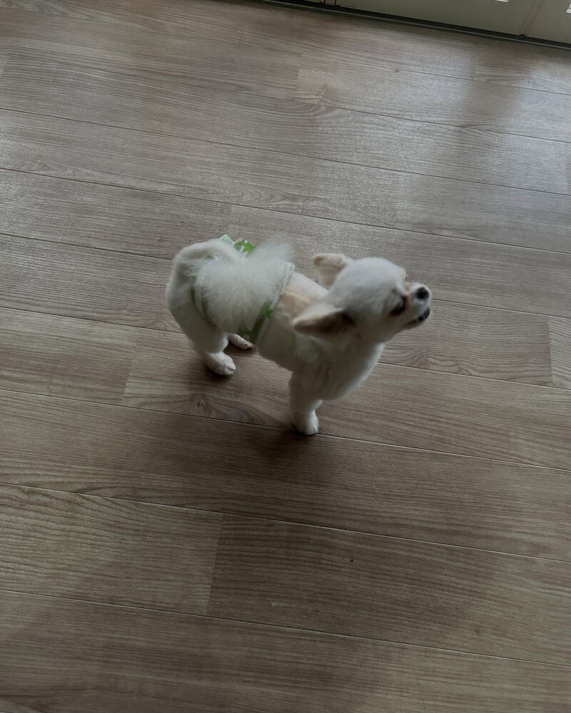 ブログ