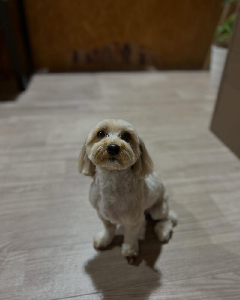 ブログ