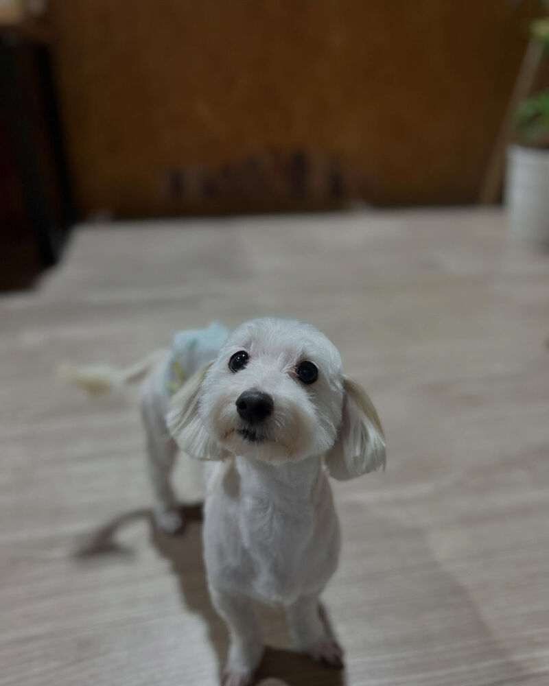 ブログ