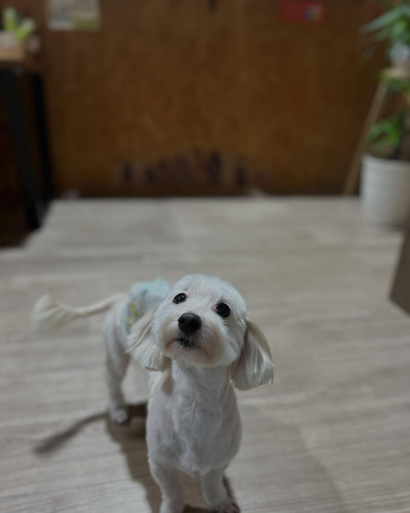 ブログ