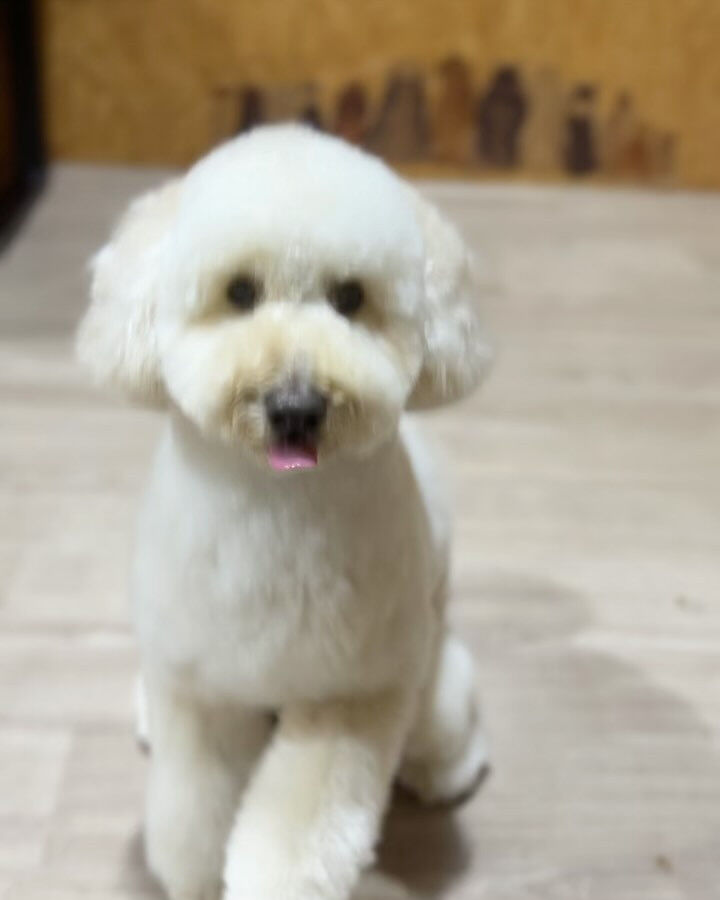 ブログ