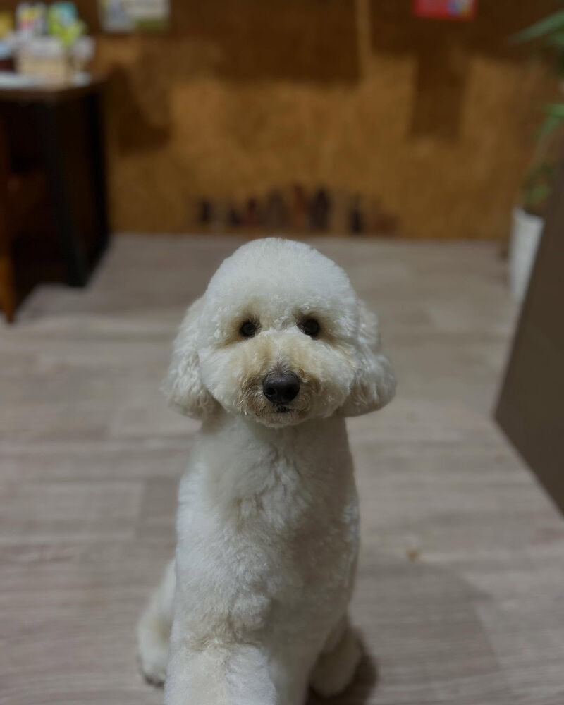 ブログ