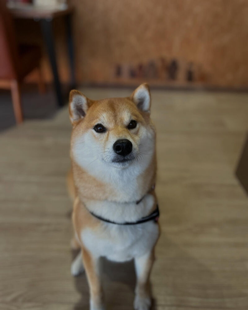 ブログ