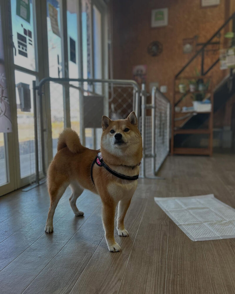 ブログ