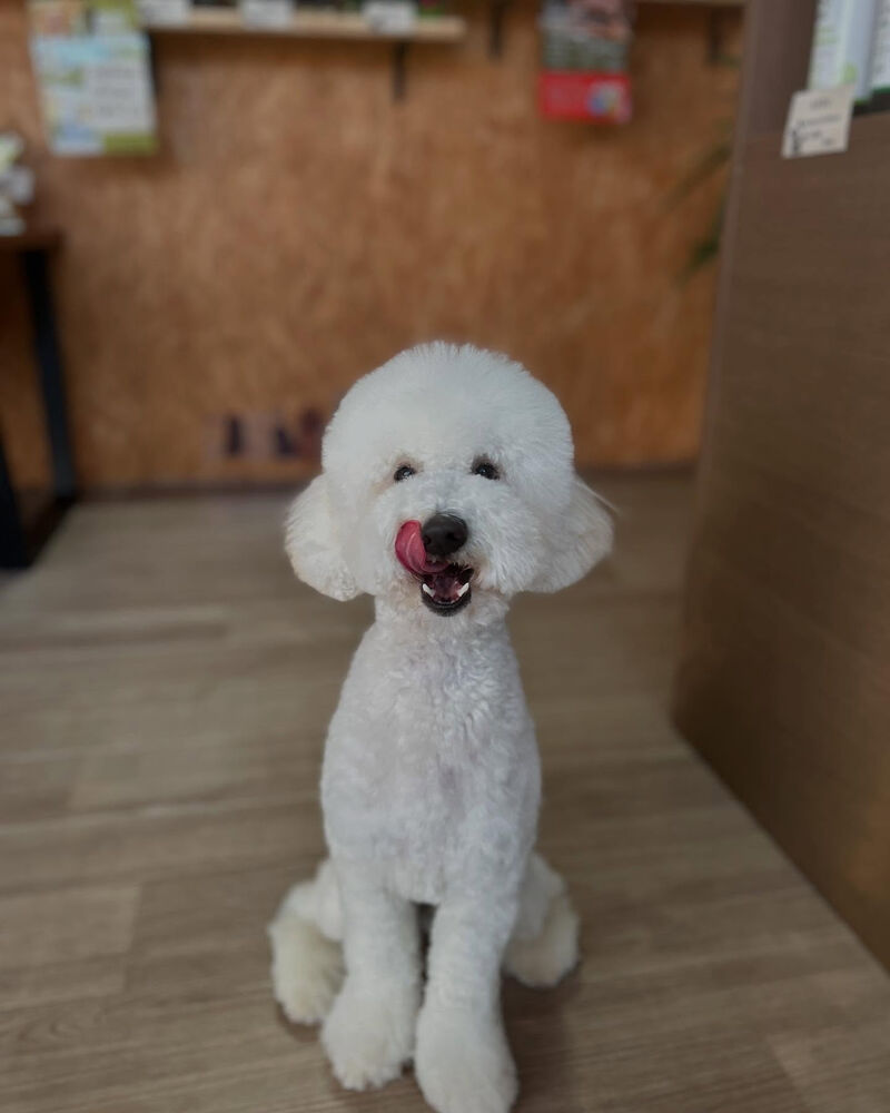 ブログ