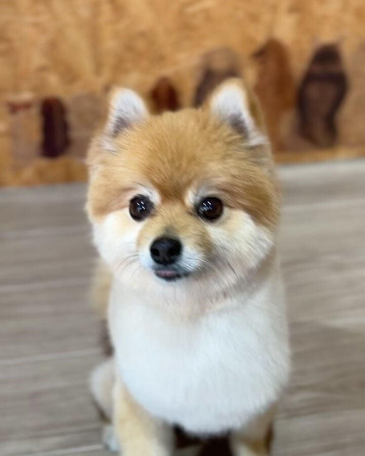ブログ