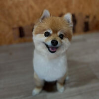 ブログ