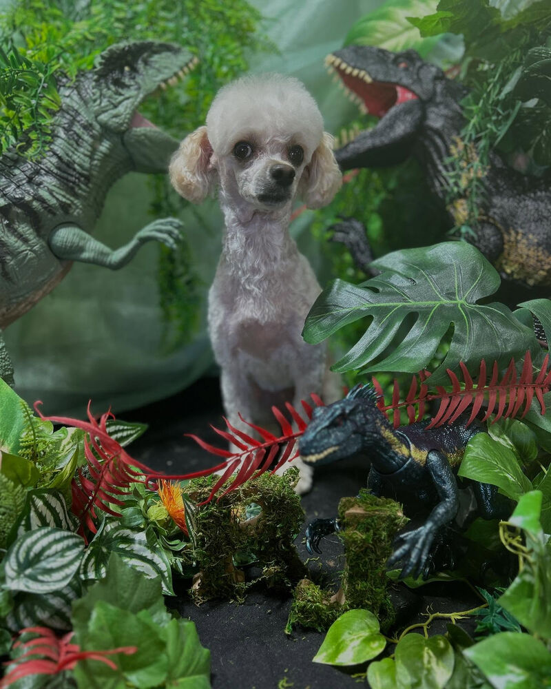 ブログ