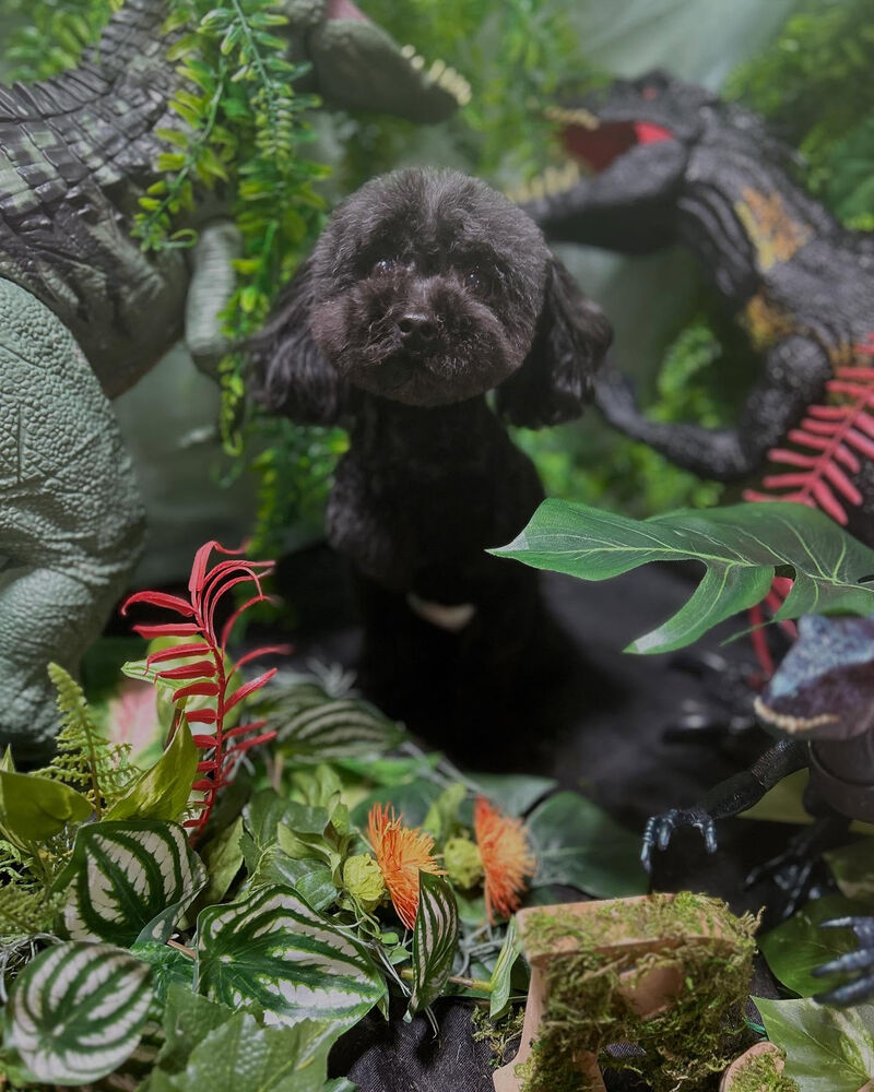 ブログ
