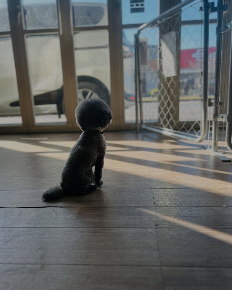 ブログ