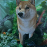 ブログ