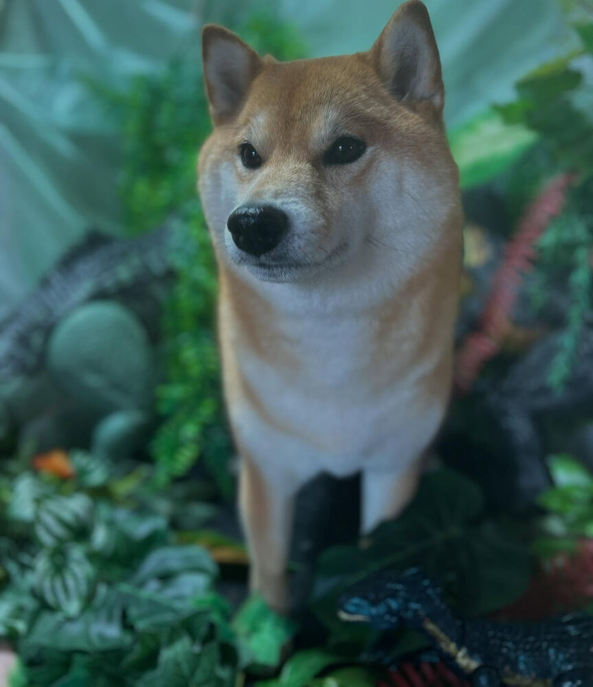 ブログ