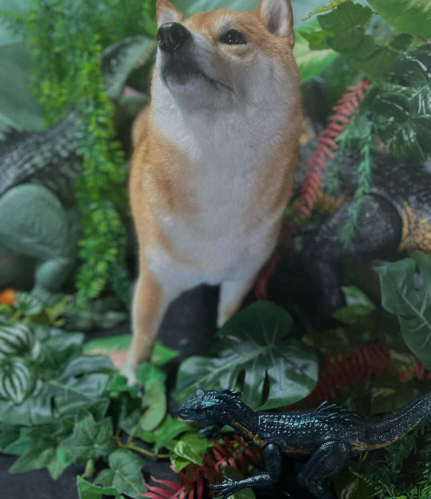 ブログ
