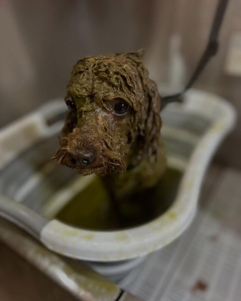 ブログ