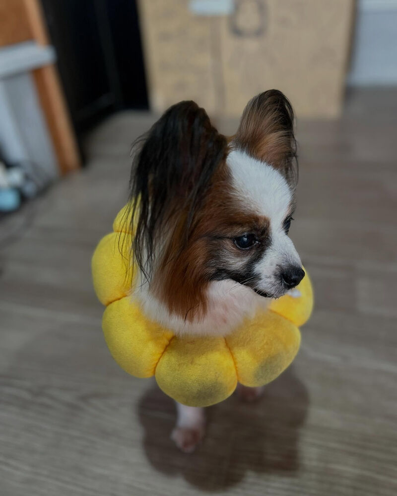 ブログ