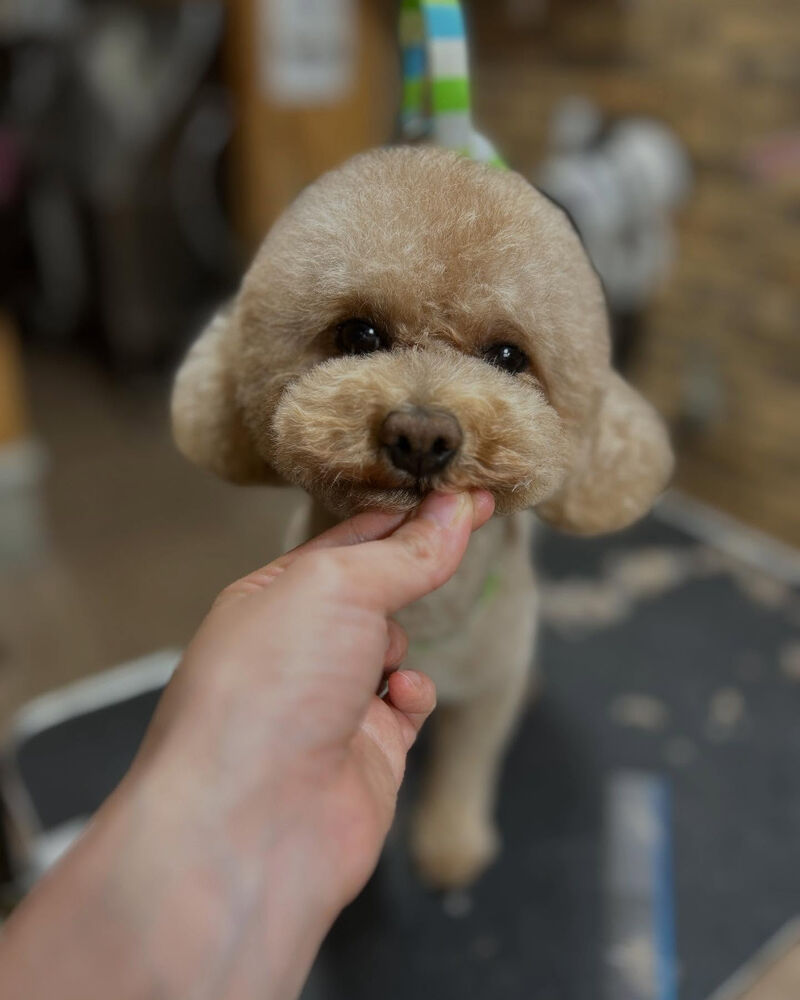 ブログ