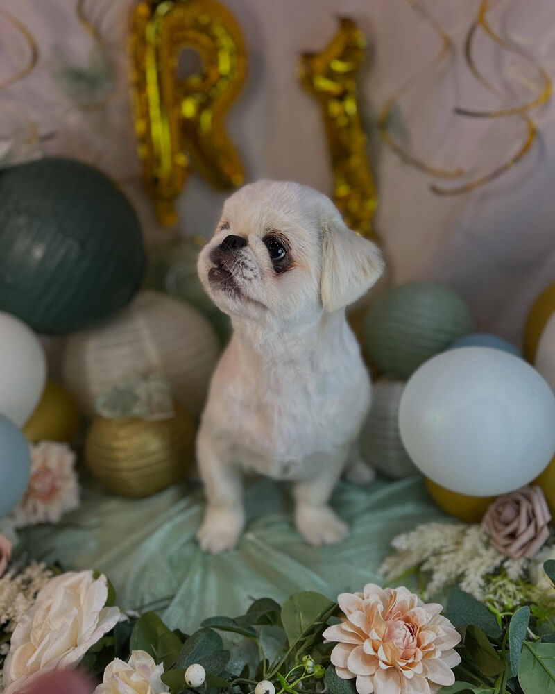 ブログ