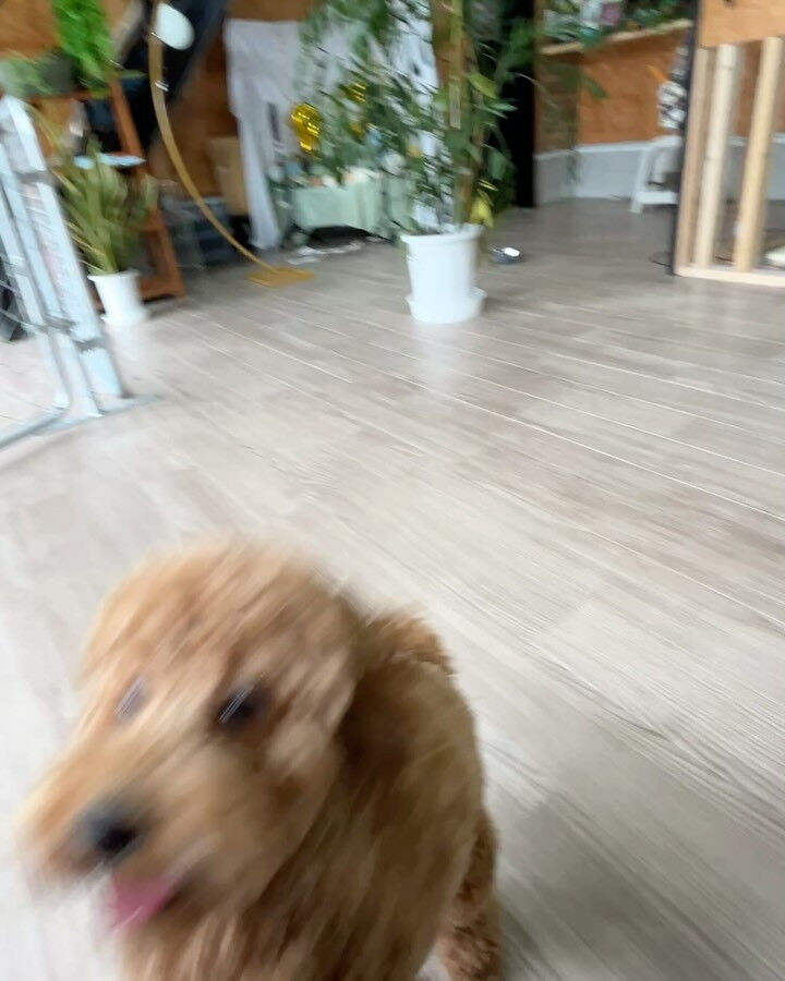 ブログ