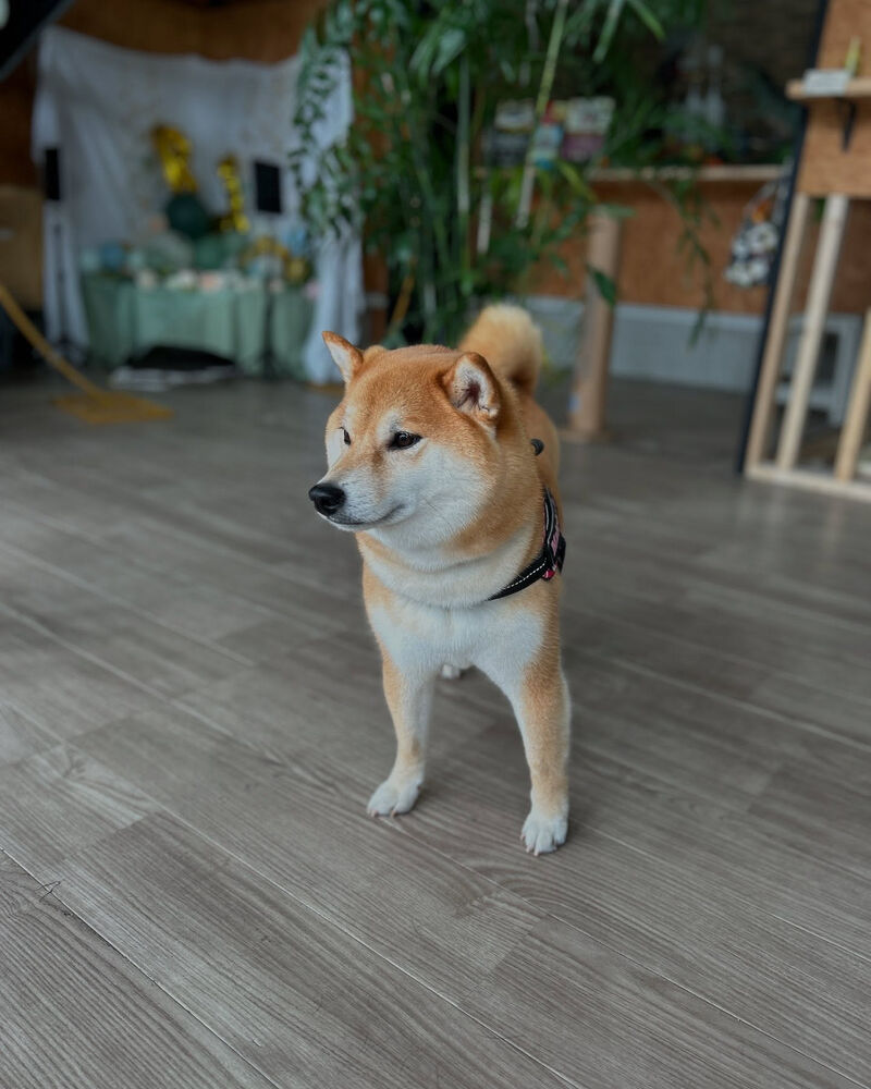 ブログ