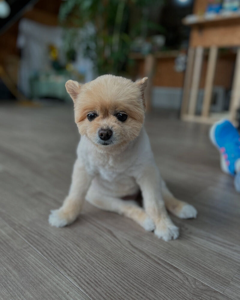 ブログ