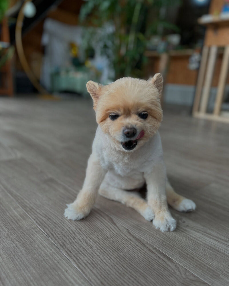ブログ