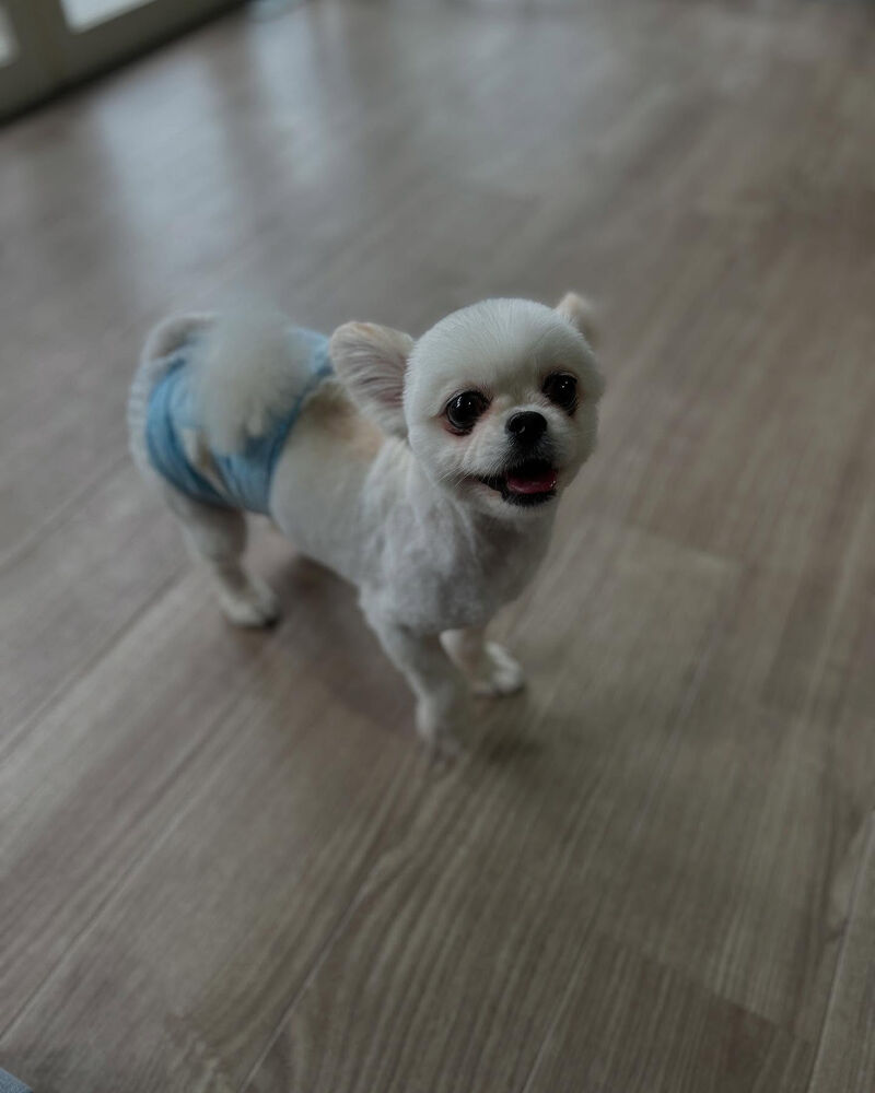 ブログ