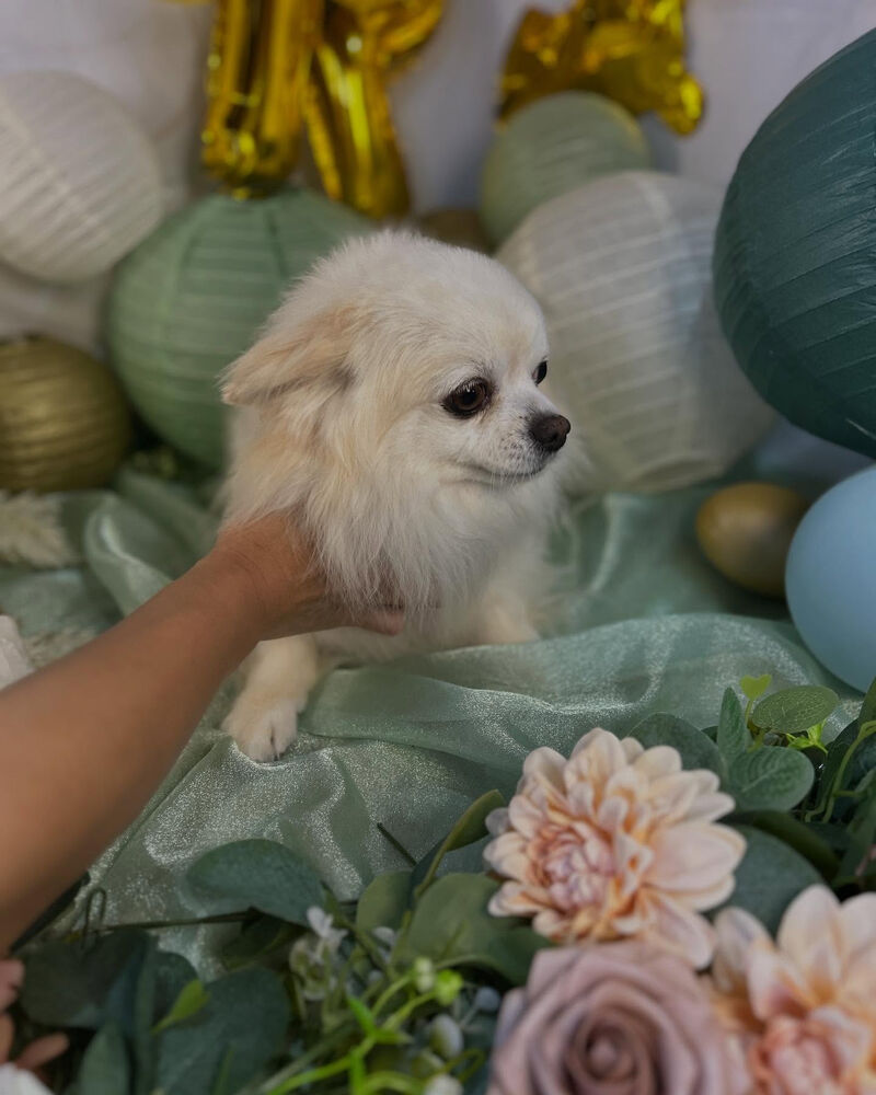 ブログ