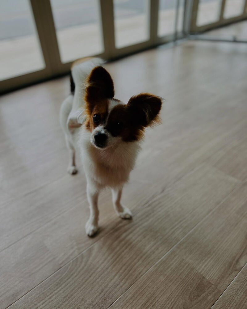 ブログ