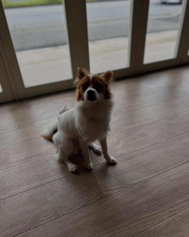 ブログ