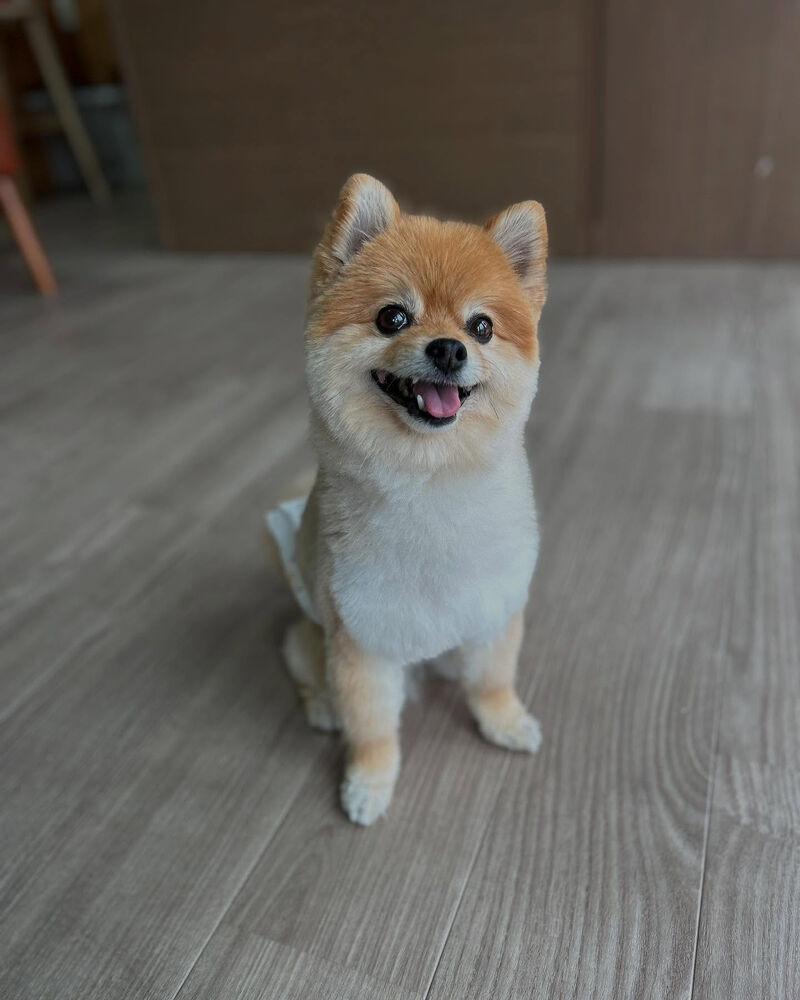 ブログ