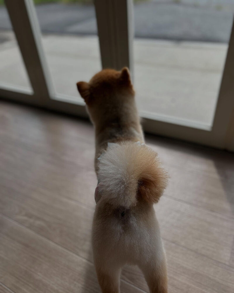 ブログ