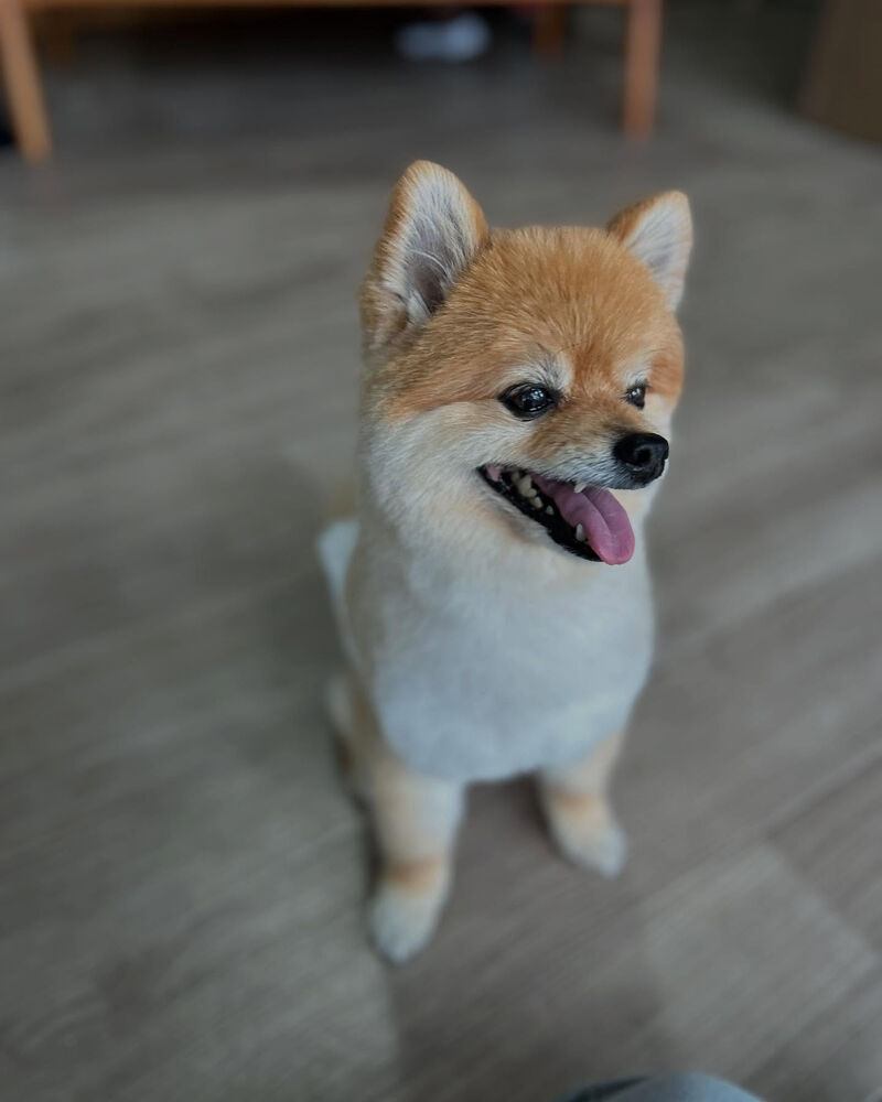 ブログ