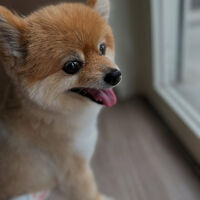 ブログ