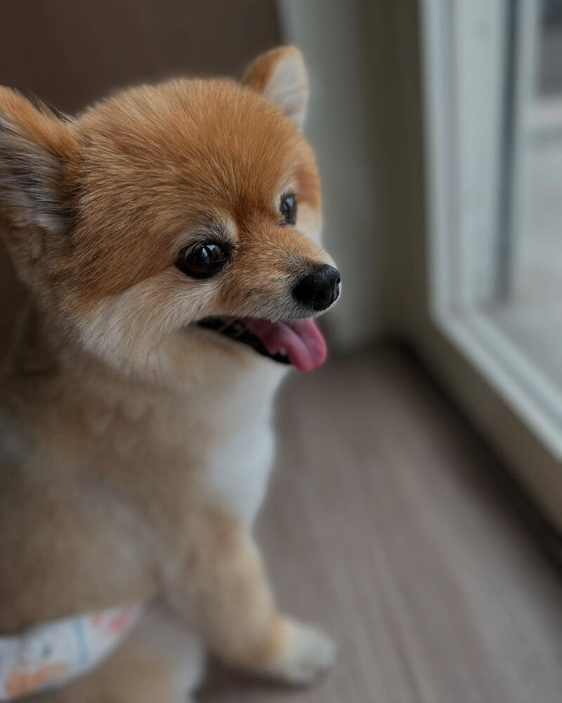 ブログ