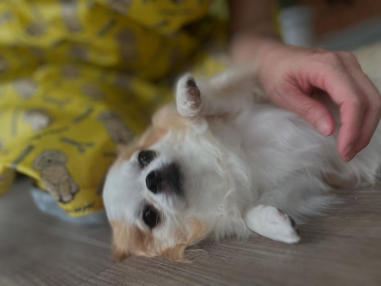 ブログ