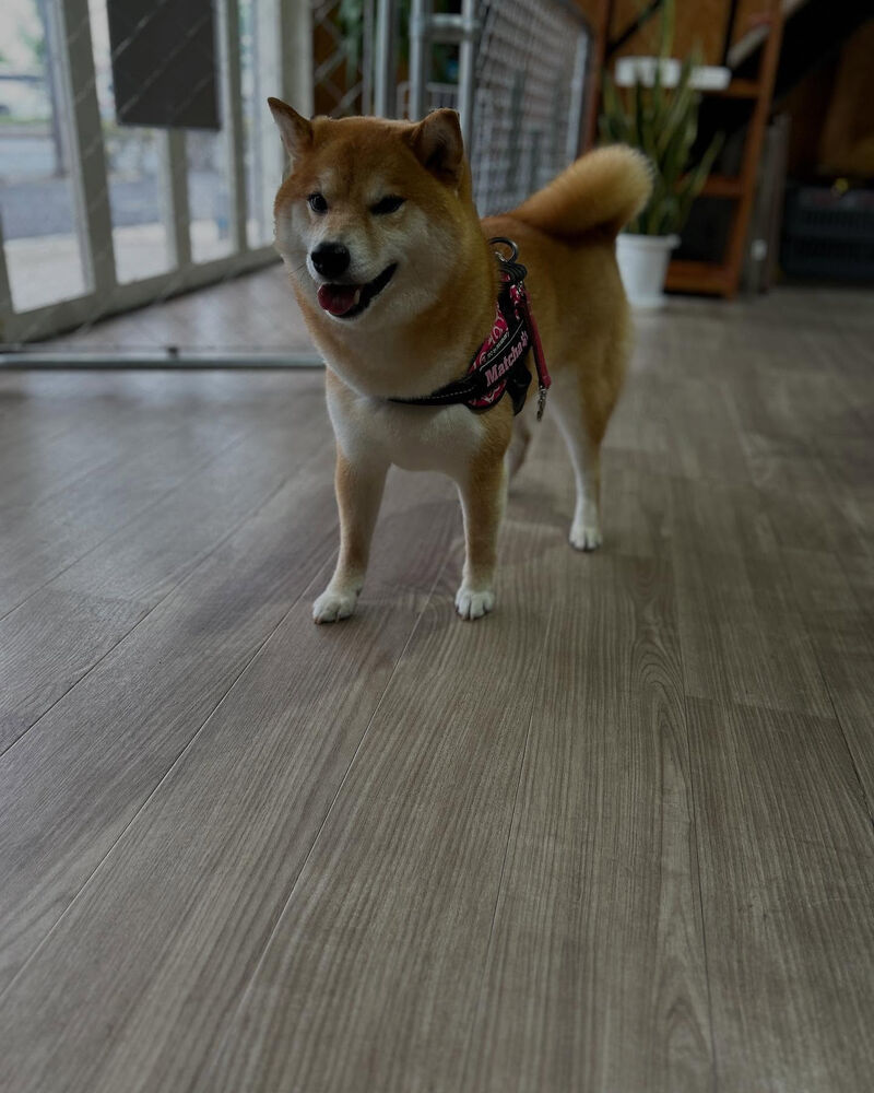 ブログ