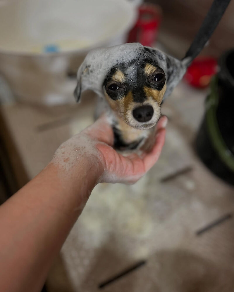 ブログ