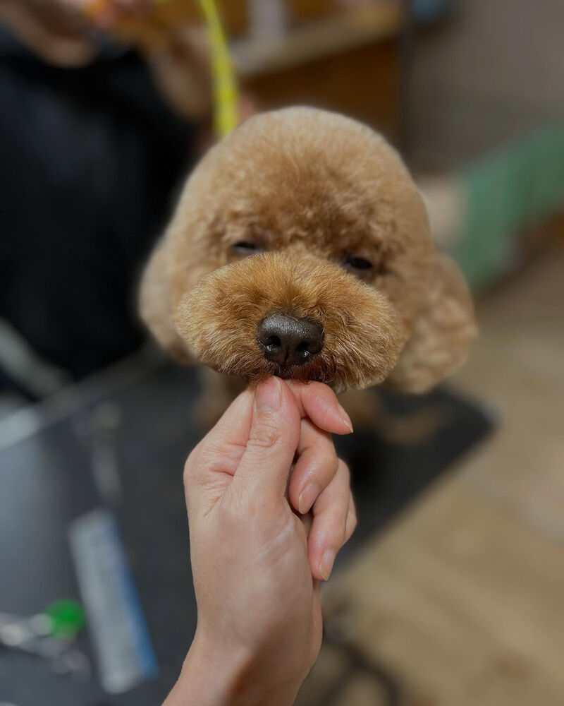 ブログ