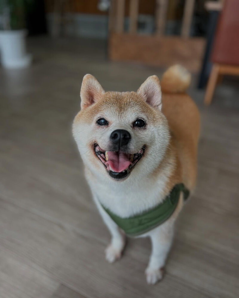 ブログ