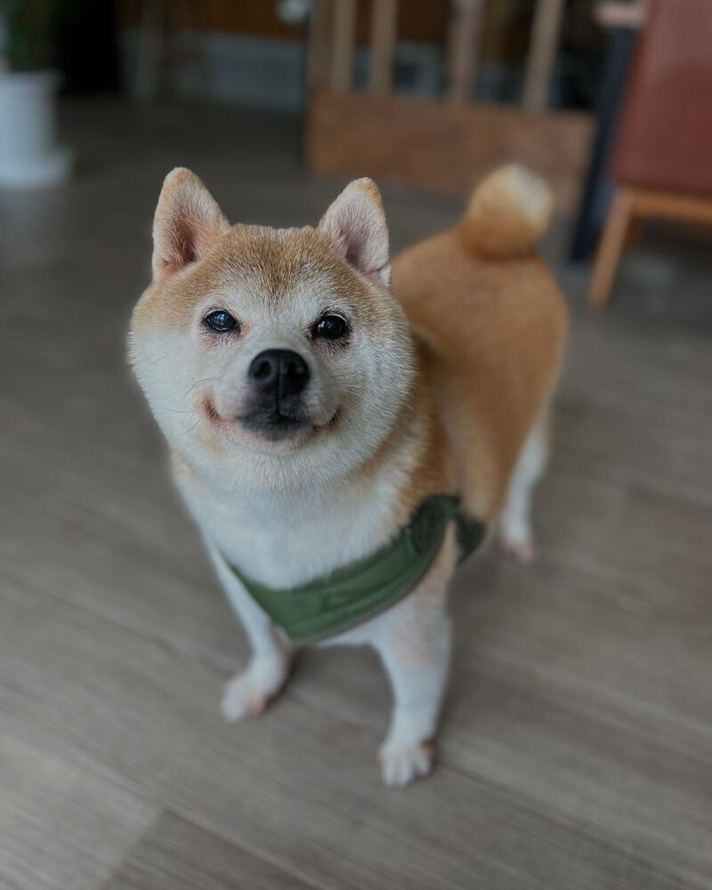 ブログ