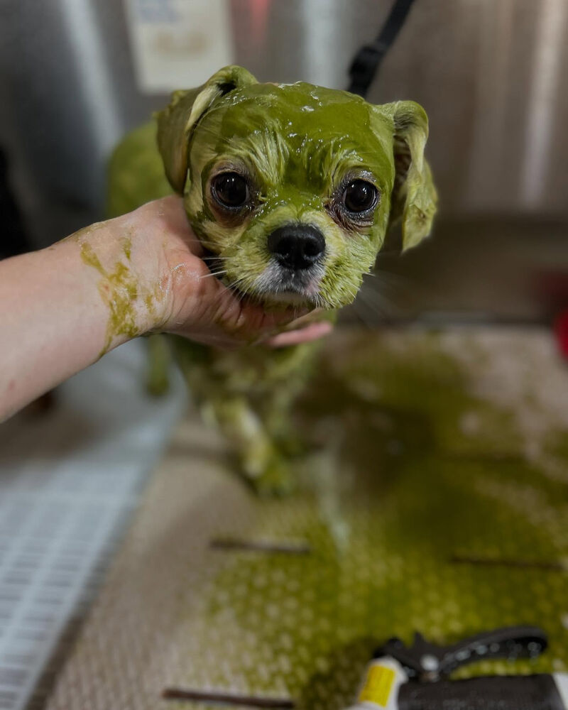 ブログ