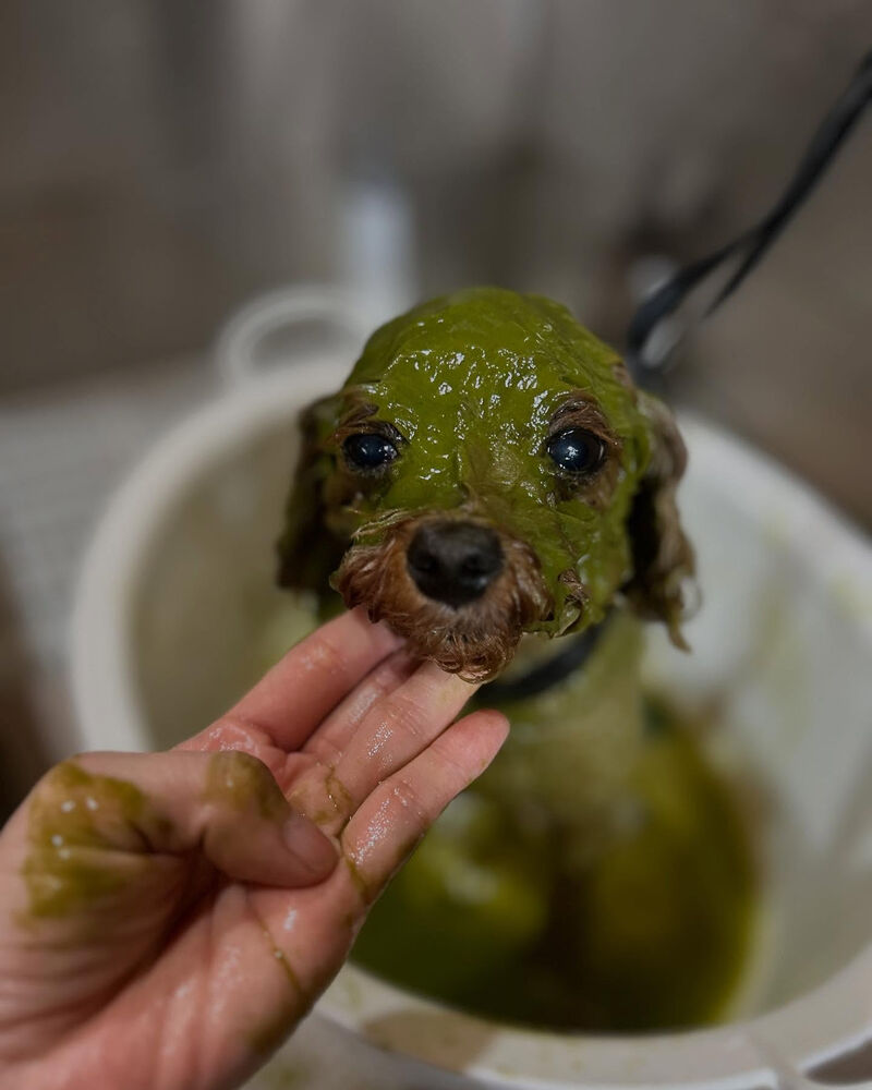 ブログ