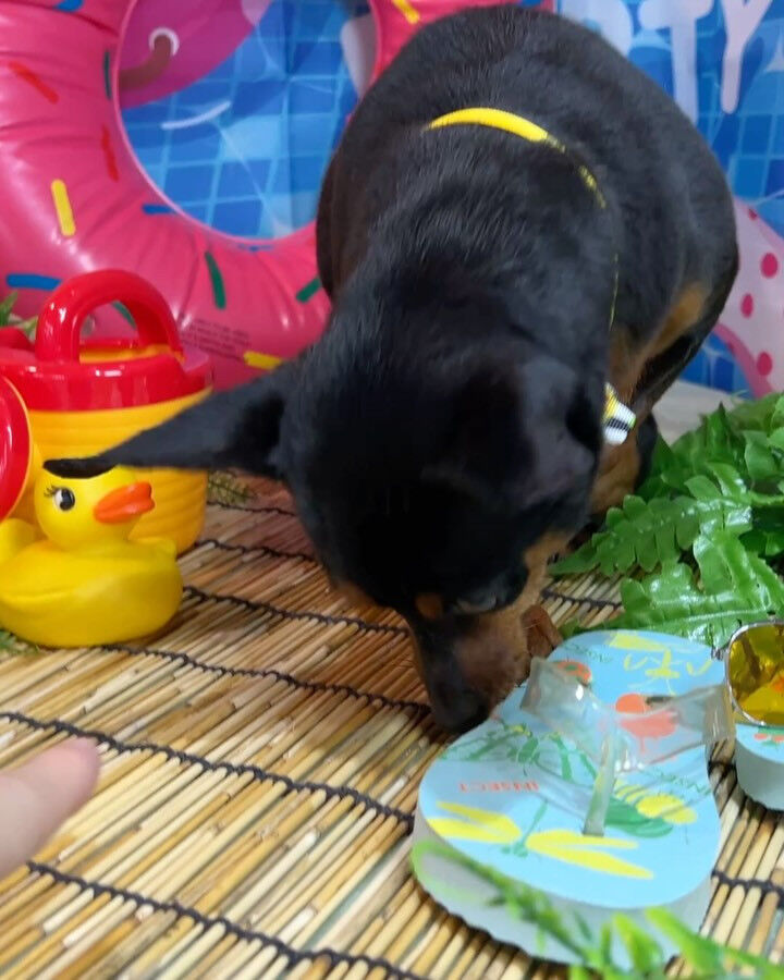 ブログ