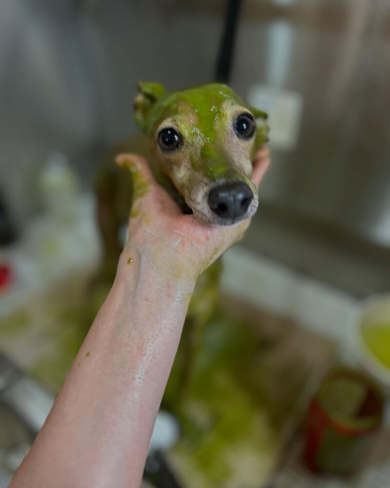 ブログ