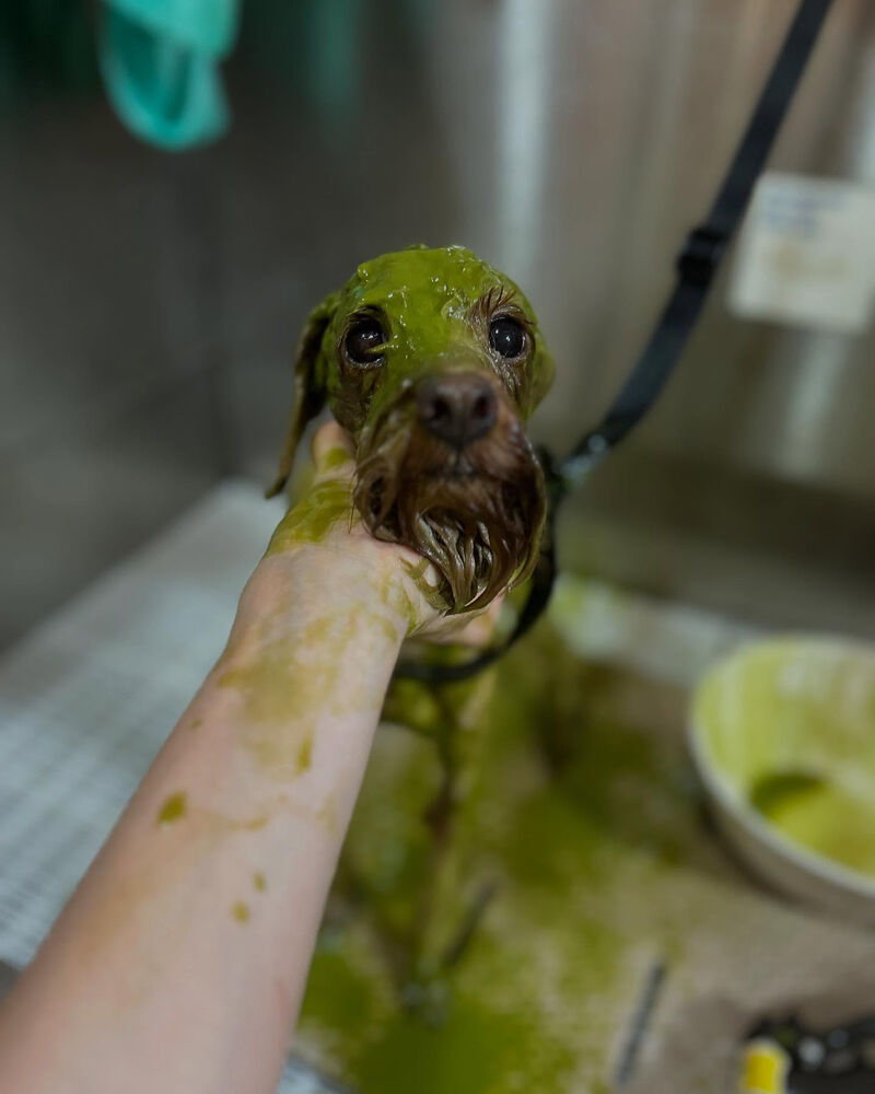 ブログ