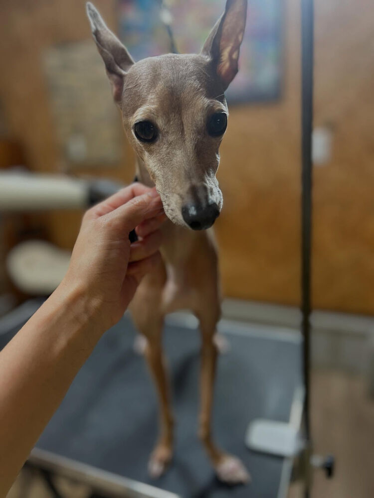 ブログ