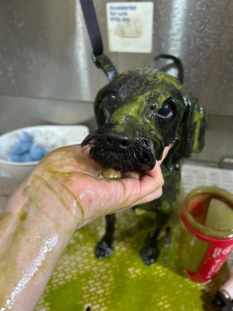 ブログ