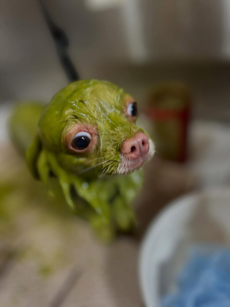 ブログ